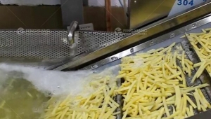 为什么炸薯条/薯片生产线需要漂烫环节？