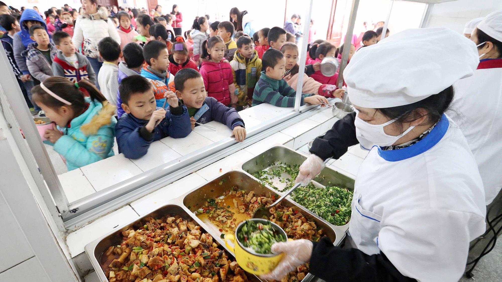 寻找幼儿园里的蔬菜 - 科学 - 湖州市吴兴区织里镇织北幼儿园