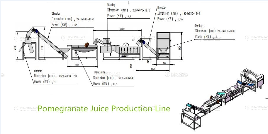 Pomegranate juice making production line 