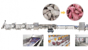 农业政策和前处理设备对红薯作用